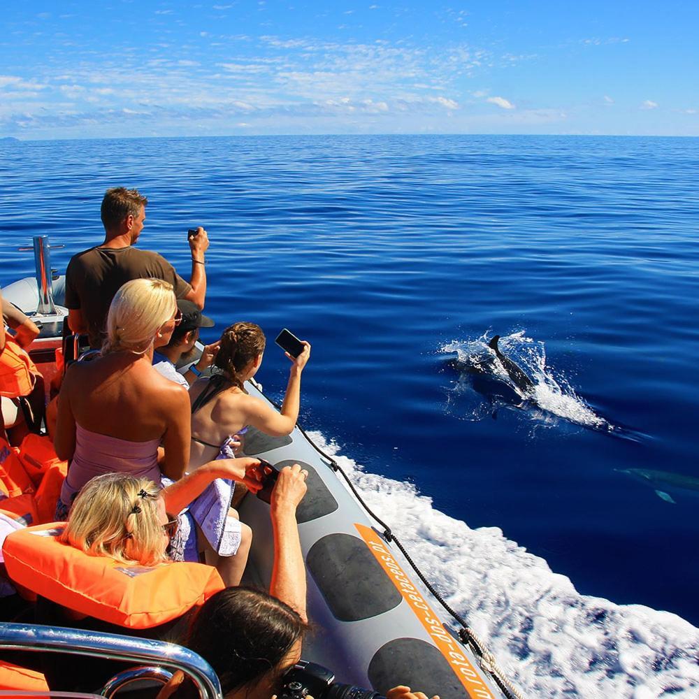 فيلا Blue By The Sea House بول دو مار المظهر الخارجي الصورة