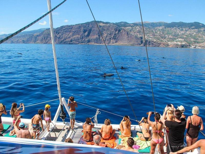 فيلا Blue By The Sea House بول دو مار المظهر الخارجي الصورة